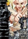 dr-stone
