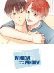 window-to-window