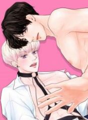 are-you-curious-about-the-review