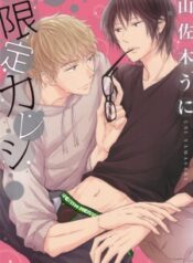 gentei-kareshi