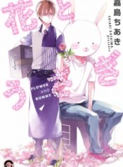 hana-to-usagi