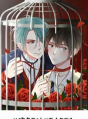hidden-hearts