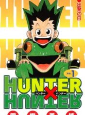 hunter-x-hunter