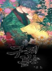 incorrigible