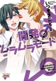 kaihatsu-muramura-mode