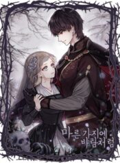 like-a-wind-on-a-dry-branch