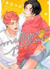 mellow-pillow