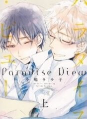 paradise-view