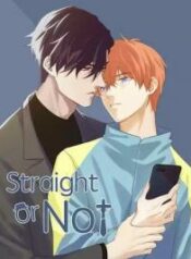 straight-or-not