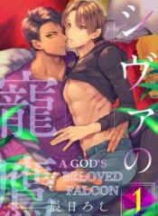 a-god-s-beloved-falcon