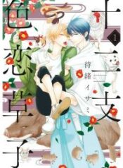 eto-irokoi-zoushi