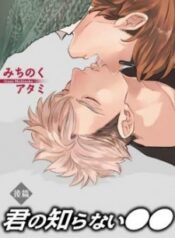 kimi-no-shiranai
