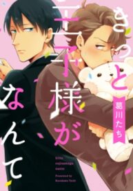kitto-oujisama-ga-nante