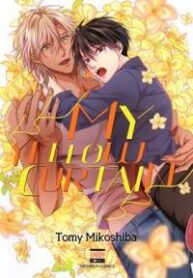 my-yellow-curtain