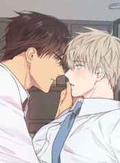no-love-zone-official-16-version