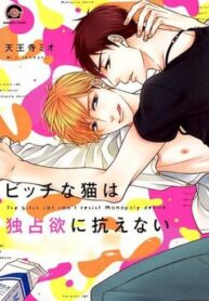 Bitch Na Neko Wa Dokusenyoku Ni Aragaenai