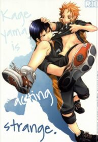 haikyuu-dj-kageyama-no-yousu-ga-okashii