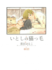 itoshi-no-nekokke
