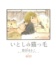 itoshi-no-nekokke