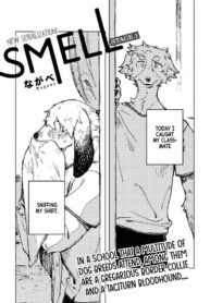 smell