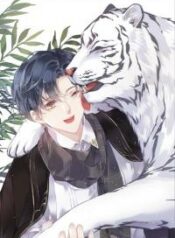 the-cat-whisperer