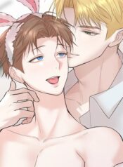 Camboy Bunny