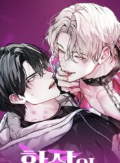 Guiding the illusion