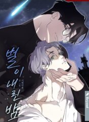A Night When Stars Fell